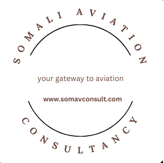 Somali Aviation Consultant